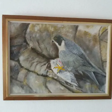 Apartman Mianamo